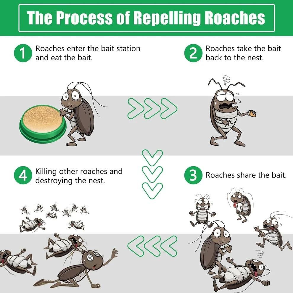 Cockroach Killer Gel (Pack of 2) – Powerful Instant Roach Control!